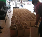 FREE FOOD FRIDAYS